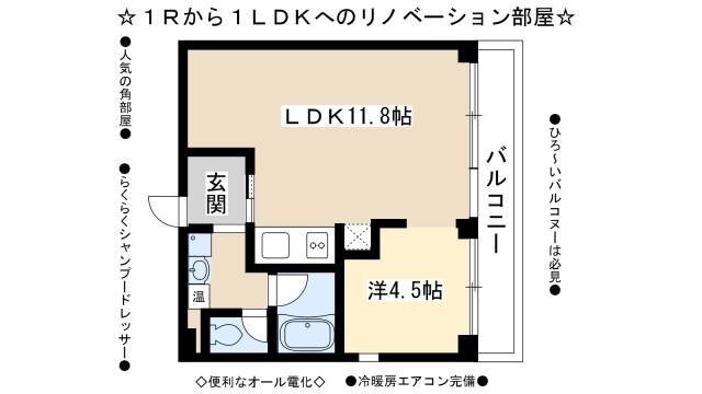 1R