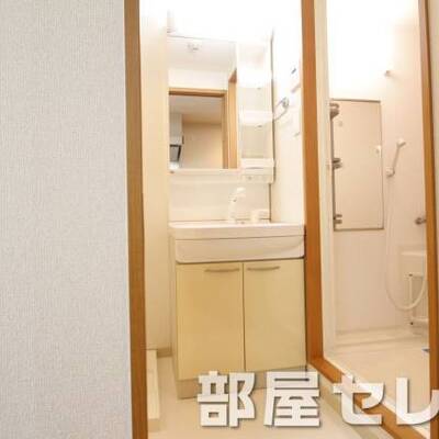 
						きれいな独立洗面所です。収納つきで便利です。