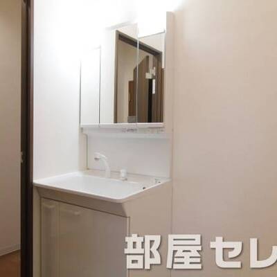 
						洗髪洗面化粧台。