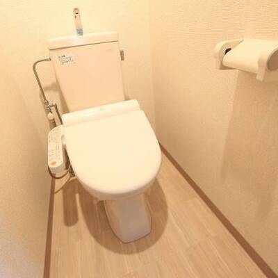 
						清潔感のある色合いです