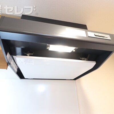 
						反転タイプの写真です