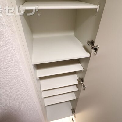 
						反転タイプの写真です
