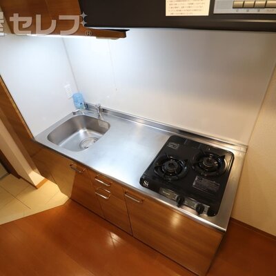 
						反転タイプの写真です