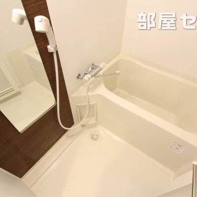 
						反転タイプの写真です