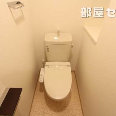 
						反転タイプの写真です