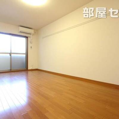 
						反転タイプの写真です