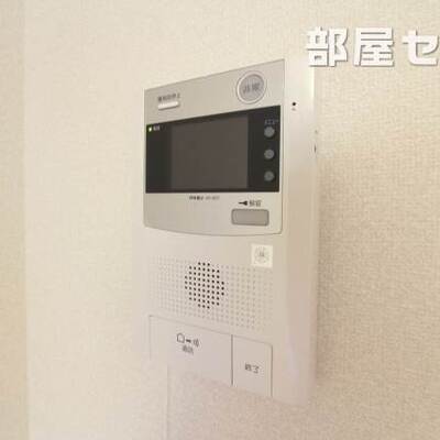 
						反転タイプの写真です