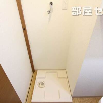 
						反転タイプの写真です