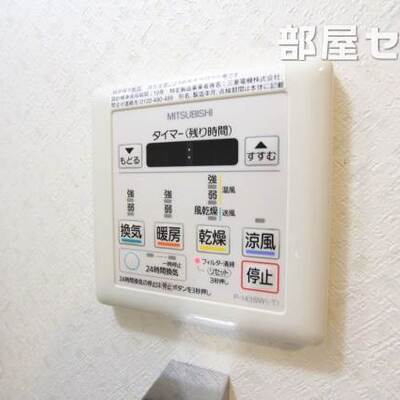 
						反転タイプの写真です
