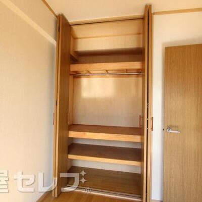 
						ハンガーパイプと仕切り板のついたクローゼット。
