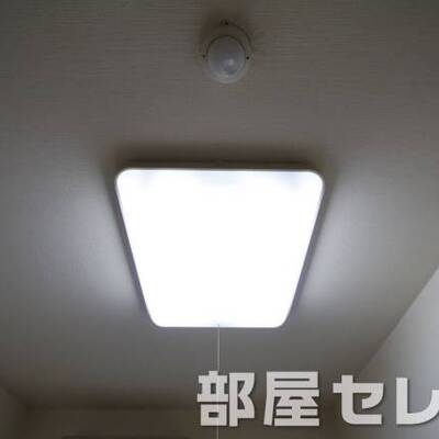 
						他号室の写真です。