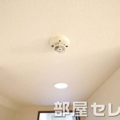 
						他号室の写真です。