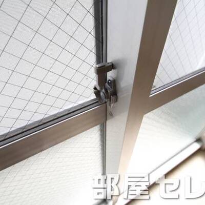 
						網ガラス。