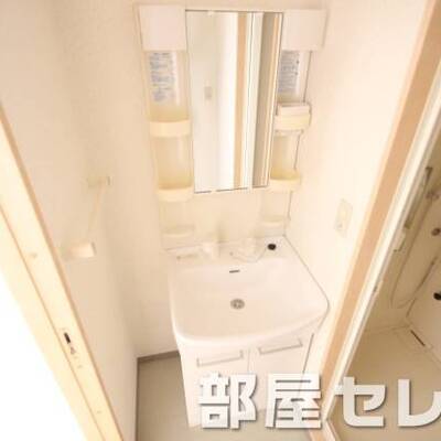 
						洗髪洗面化粧台。他号室の写真です。