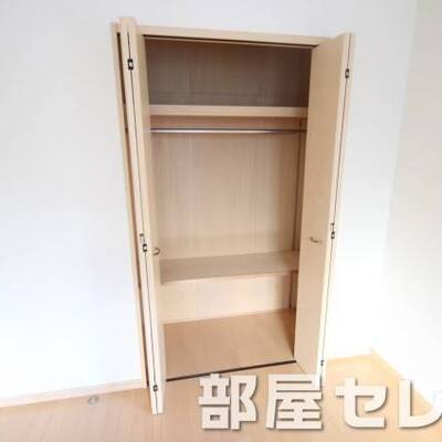 
						クローゼット。他号室の写真です。