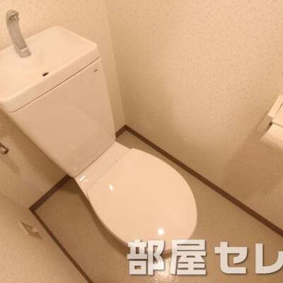 
						トイレもきれいにしています。他号室の写真です。