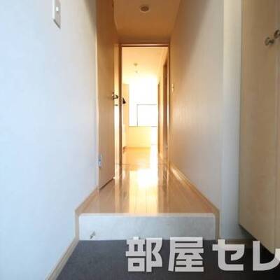 
						玄関口。他号室の写真です。