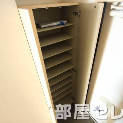 
						シューズボックス。他号室の写真です。
