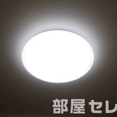 
						居室照明。