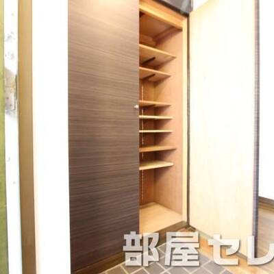 
						あると便利なシューズボックスです。