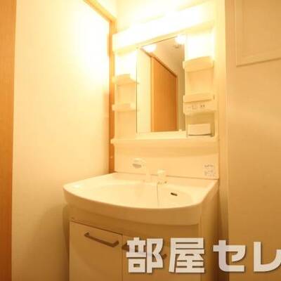 
						洗髪洗面化粧台。