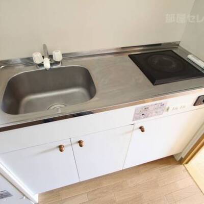
						一人暮らしでも安心です。203号室の写真です。
