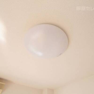 
						照明はお好きなものを設置下さい。203号室の写真です。