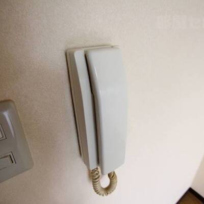 
						インターフォンで来客時も確認できます。