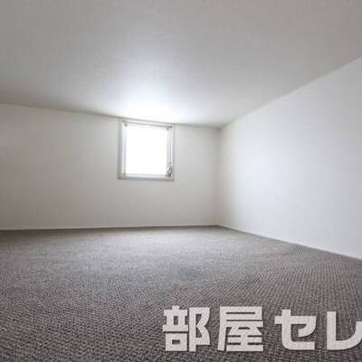 
						広い広い収納スペースです。ロフトです。