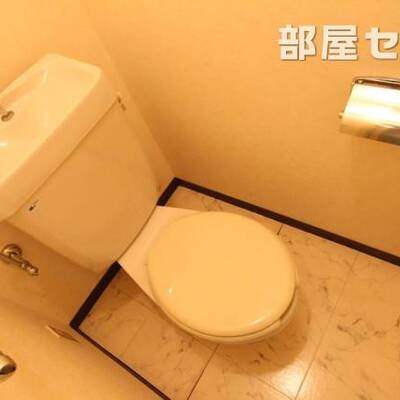 
						反転タイプ有