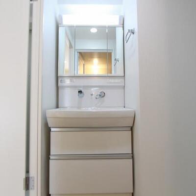 
						シャンプードレッサーです。