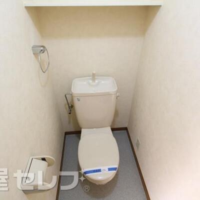 
						綺麗なトイレです。