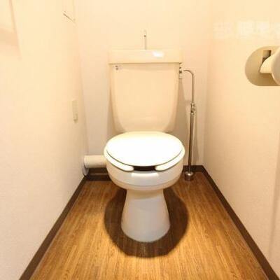 
						清潔感のあるトイレです。