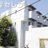 ドーム高峯