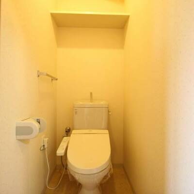 
						ウォシュレット付きトイレ　収納棚もあります　203号室の写真です。