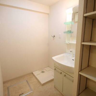 
						洗面所兼脱衣場　203号室の写真です。