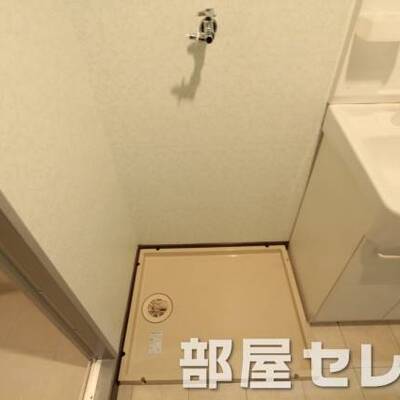 
						キレイな室内洗濯機置き場です。
