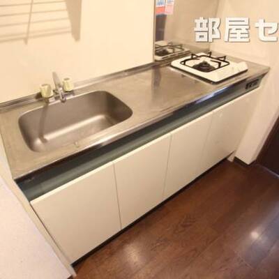 
						※反転タイプの写真です