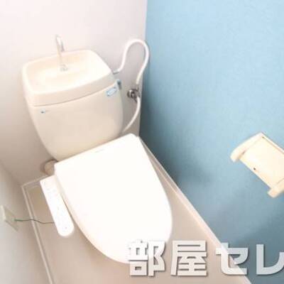 
						温水洗浄便座。