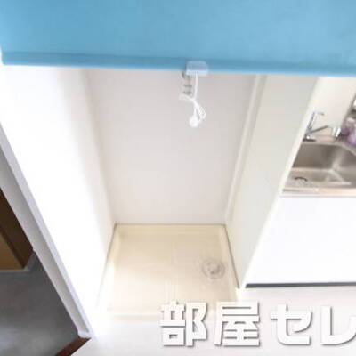 
						室内洗濯機置き場はです。ロールカーテン付き。
