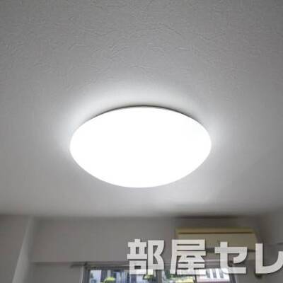 
						居室照明。