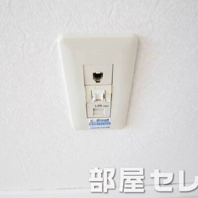 
						ネット無料。