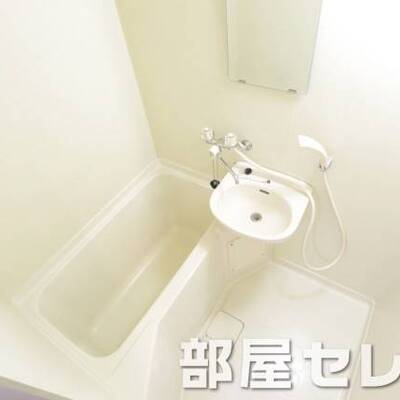 
						掃除のしやすいバスルームです。。他号室の写真です。