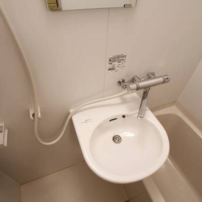 
						コンパクトな洗面です。他号室の写真です。