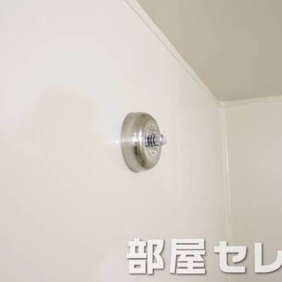 
						物干しロープ。