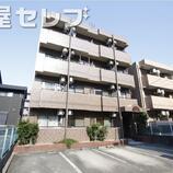 ユング桜山