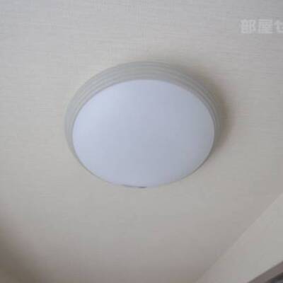 
						※反転タイプの写真です。