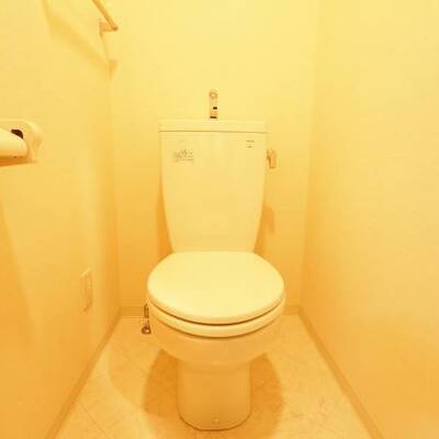 
						トイレで考え事でも。205号室の写真です。