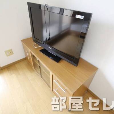 
						TV。