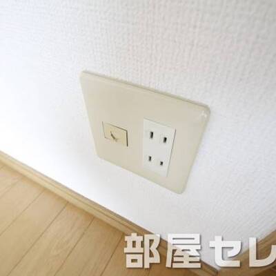 
						電話回線。